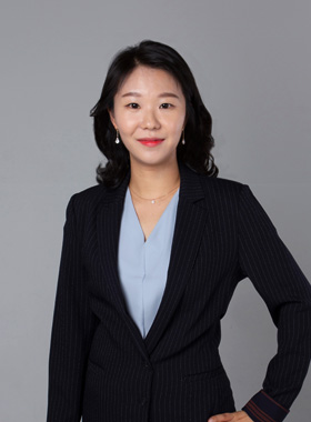 lawyer