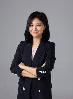 lawyer
